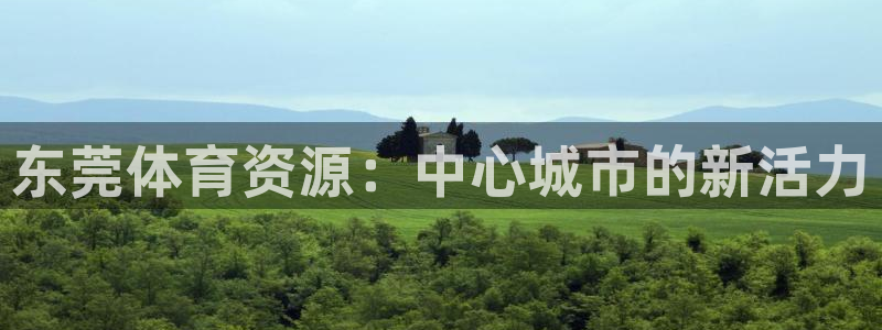 凯捷体育娱乐：东莞体育资源：中心城市的新活力