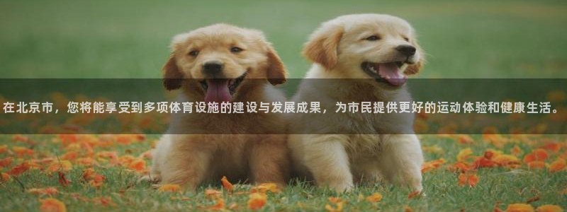 凯捷体育招商电话号码查询是多少：在北京市，您将能享受