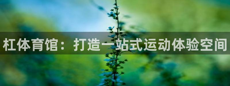 凯捷体育平台注册流程视频：杠体育馆：打造一站式运动体