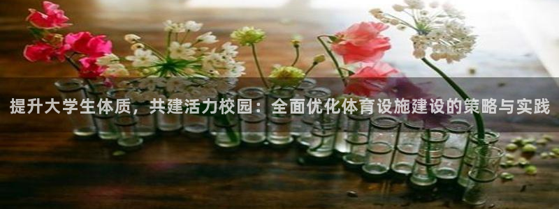 凯捷体育是干嘛的公司：提升大学生体质，共建活力校园：