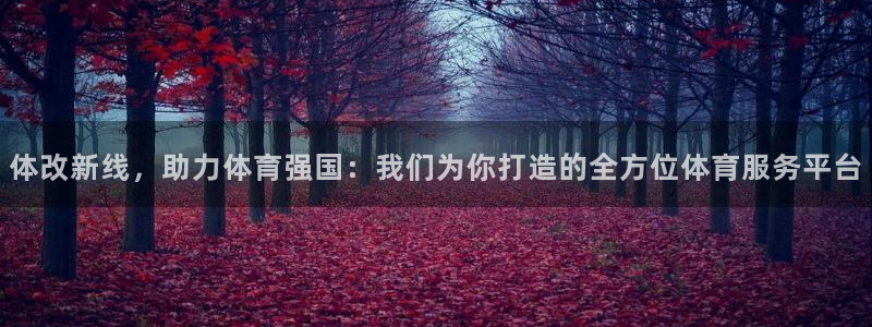 凯捷体育是干嘛的公司：体改新线，助力体育强国：我们为