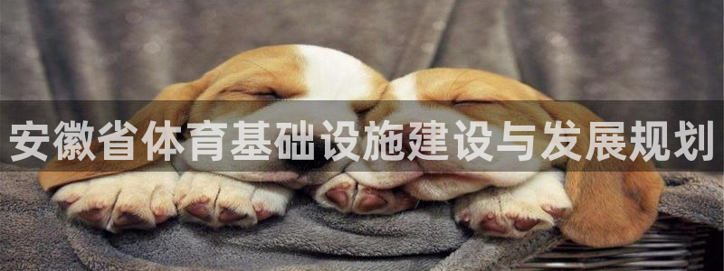 凯捷体育平台是正规平台吗：安徽省体育基础设施建设与发