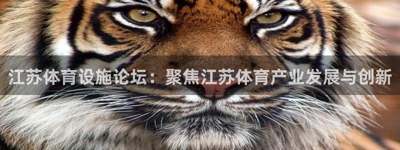 凯捷体育代理：江苏体育设施论坛：聚焦江苏体育产业发展