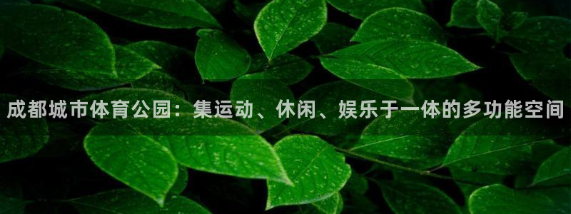 凯捷体育五金厂：成都城市体育公园：集运动、休闲、娱乐