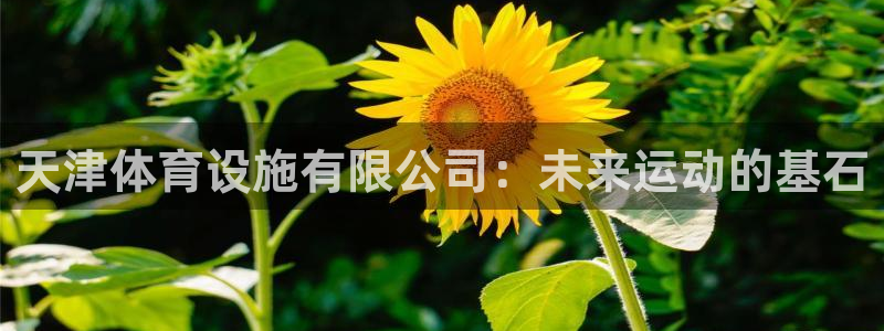 凯捷体育官方客服电话：天津体育设施有限公司：未来运动