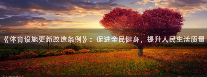 凯捷体育开户：《体育设施更新改造条例》：促进全民健身