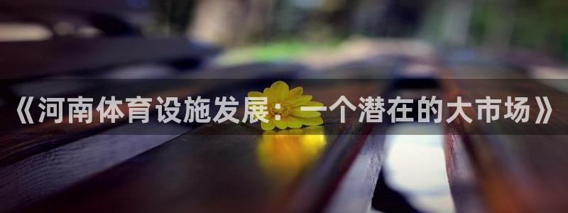 凯捷体育娱乐首页官网下载：《河南体育设施发展：一个潜