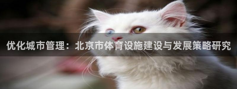 凯捷体育招商：优化城市管理：北京市体育设施建设与发展