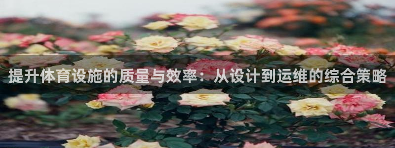 凯捷体育是干嘛的公司：提升体育设施的质量与效率：从设