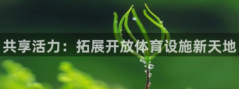 凯捷体育平台是正规平台吗知乎：共享活力：拓展开放体育