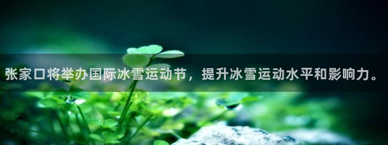 凯捷体育集团logo：张家口将举办国际冰雪运动节，提