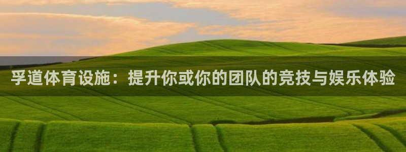 凯捷体育集团官网首页：孚道体育设施：提升你或你的团队的竞技与