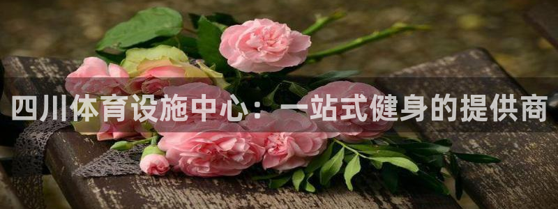 凯捷体育娱乐：四川体育设施中心：一站式健身的提供商