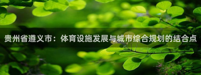 凯捷体育神州：贵州省遵义市：体育设施发展与城市综合规