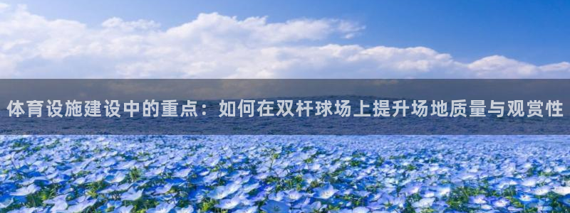 凯捷体育平台：体育设施建设中的重点：如何在双杆球场上