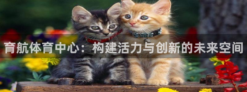 凯捷体育招商电话地址：育航体育中心：构建活力与创新的