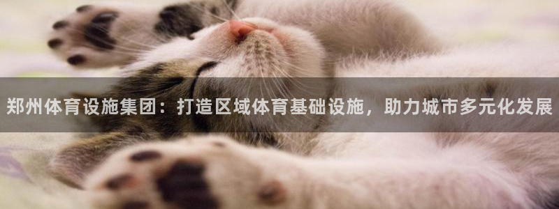 凯捷体育招商电话号码：郑州体育设施集团：打造区域体育