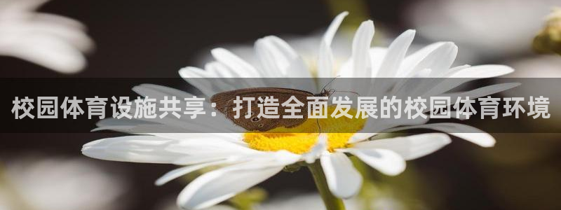 凯捷体育招商电话号码查询是多少：校园体育设施共享：打