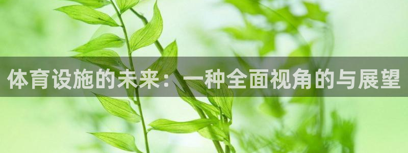 凯捷体育招商电话号码是多少：体育设施的未来：一种全面视角的与
