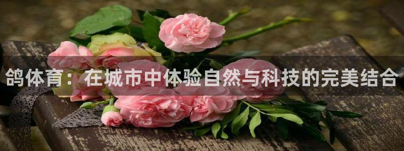 凯捷体育平台APP：鸽体育：在城市中体验自然与科技的完美结合