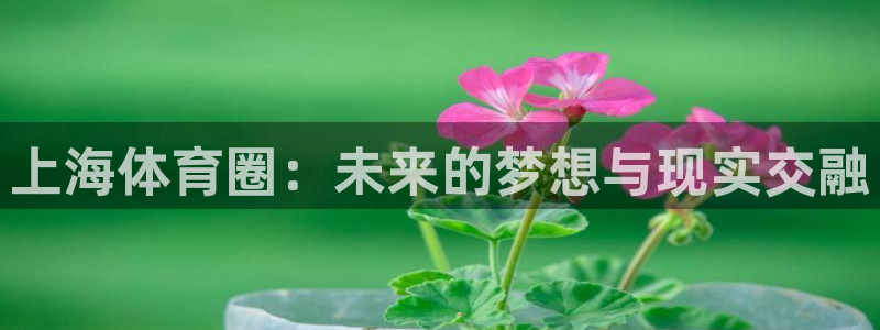 凯捷体育开户：上海体育圈：未来的梦想与现实交融