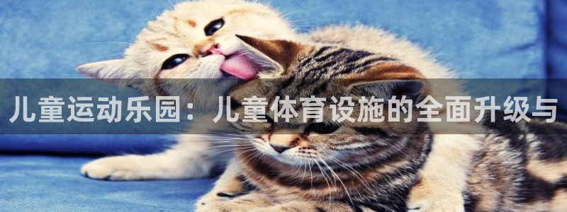 凯捷体育平台注册要钱吗安全吗：儿童运动乐园：儿童体育设施的全