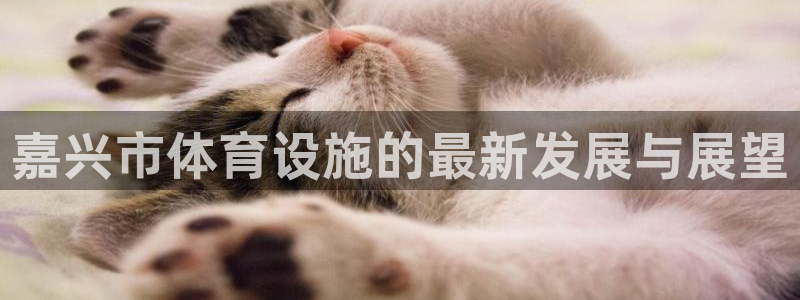 凯捷体育：嘉兴市体育设施的最新发展与展望
