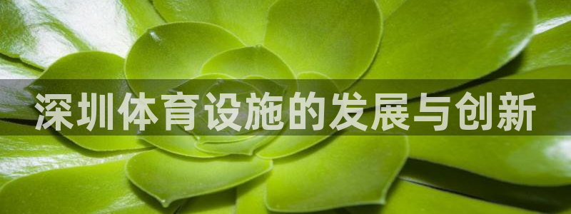 凯捷平台体育：深圳体育设施的发展与创新