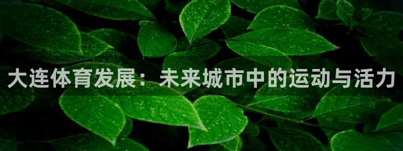 凯捷体育官网：大连体育发展：未来城市中的运动与活力