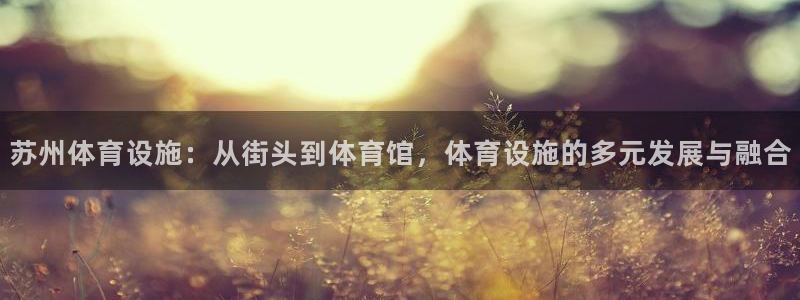 凯捷体育官网：苏州体育设施：从街头到体育馆，体育设施
