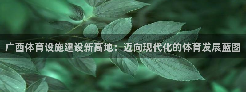 凯捷体育娱乐代理怎么样：广西体育设施建设新高地：迈向