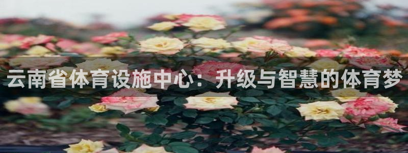 凯捷体育娱乐40996：云南省体育设施中心：升级与智