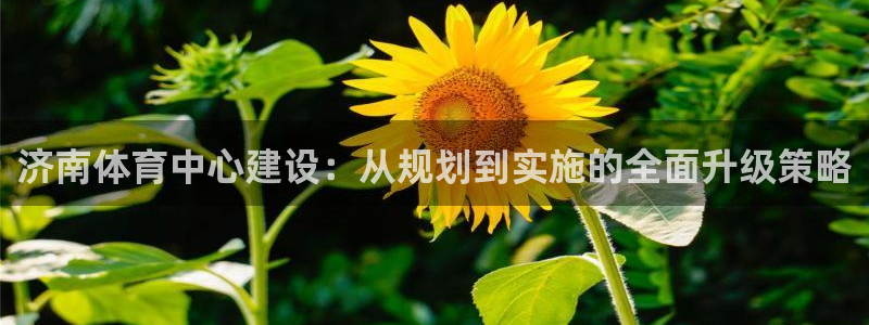 凯捷体育招商电话地址：济南体育中心建设：从规划到实施