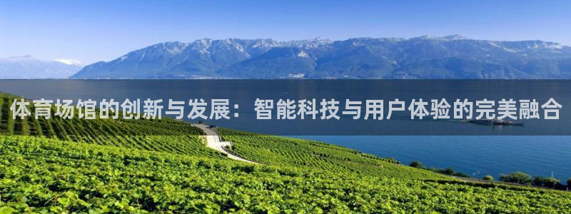 凯捷体育娱乐网站：体育场馆的创新与发展：智能科技与用