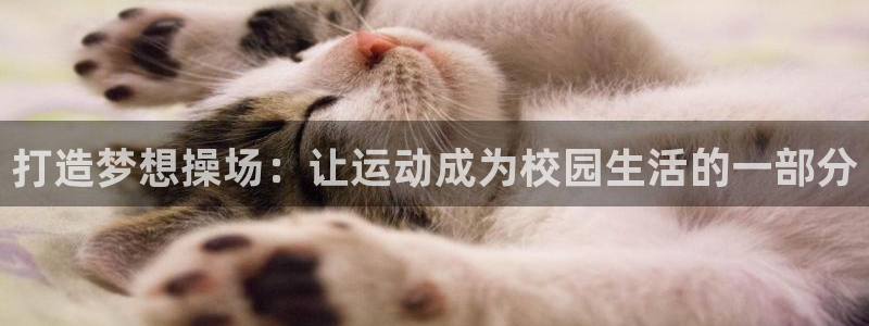 凯捷体育集团官网网址：打造梦想操场：让运动成为校园生