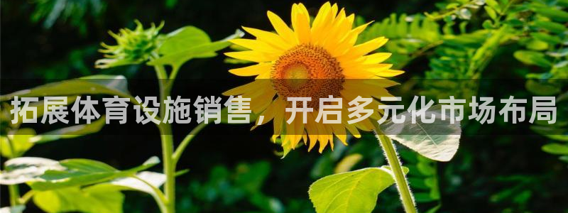凯捷平台体育：拓展体育设施销售，开启多元化市场布局