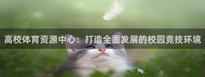 凯捷体育平台注册流程视频：高校体育资源中心：打造全面