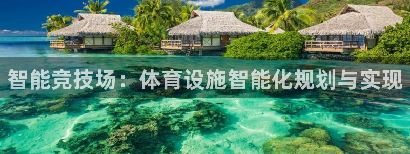 凯捷平台体育：智能竞技场：体育设施智能化规划与实现