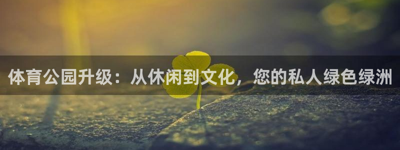 凯捷体育娱乐首页网站大全：体育公园升级：从休闲到文化