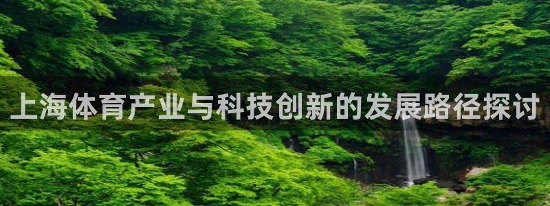 凯捷体育是干嘛的公司：上海体育产业与科技创新的发展路