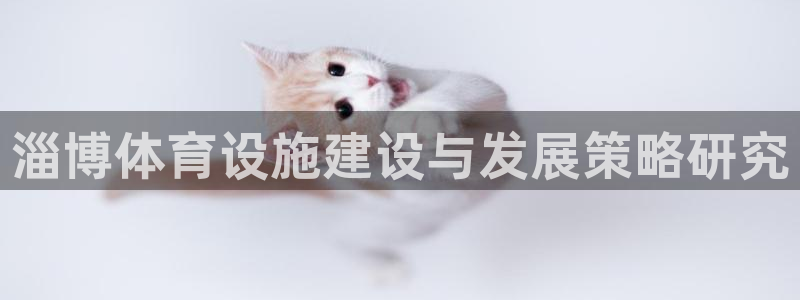 凯捷体育娱乐：淄博体育设施建设与发展策略研究