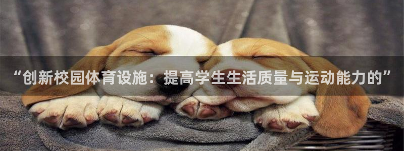 凯捷体育开户：“创新校园体育设施：提高学生生活质量与