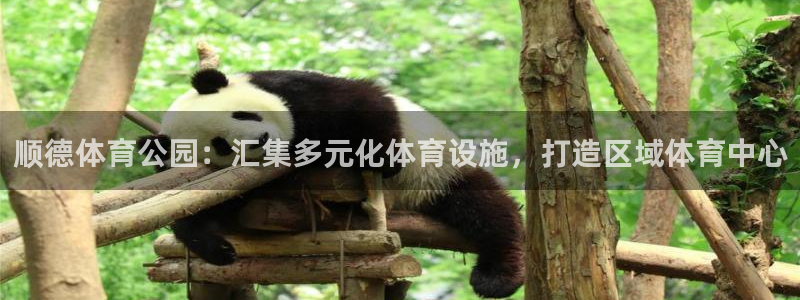凯捷体育软件：顺德体育公园：汇集多元化体育设施，打造