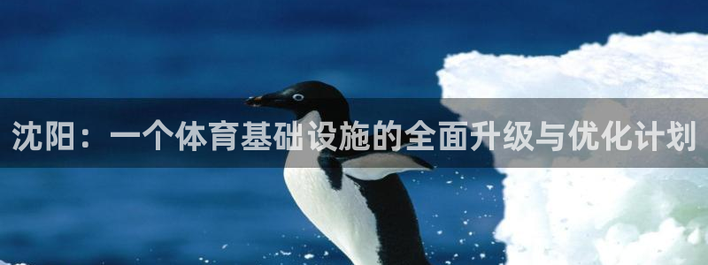 凯捷体育平台注册要钱吗是真的吗：沈阳：一个体育基础设