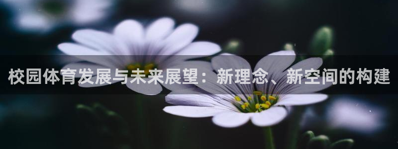 凯捷体育娱乐：校园体育发展与未来展望：新理念、新空间