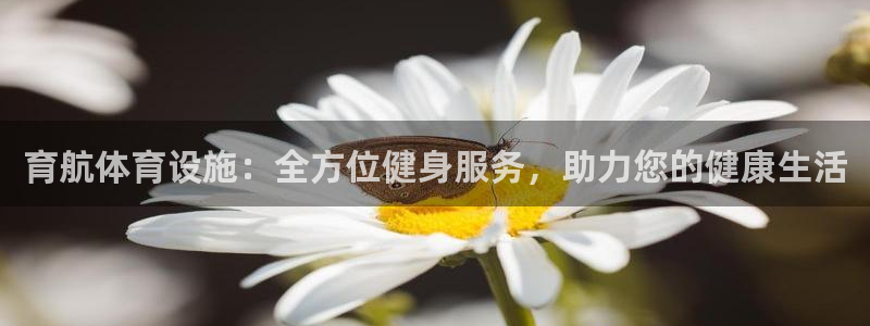 凯捷体育软件：育航体育设施：全方位健身服务，助力您的