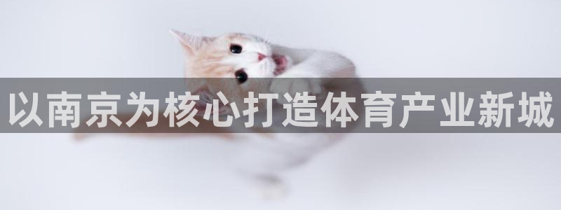 凯捷体育开户：以南京为核心打造体育产业新城