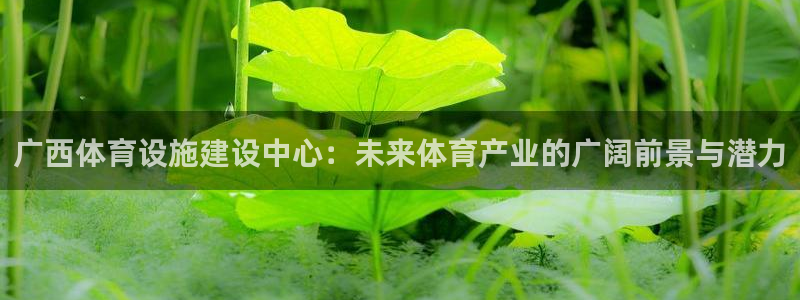 凯捷体育娱乐：广西体育设施建设中心：未来体育产业的广
