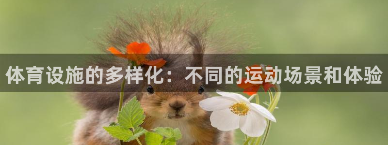 凯捷体育集团简介：体育设施的多样化：不同的运动场景和