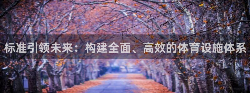 凯捷体育招商电话是多少：标准引领未来：构建全面、高效